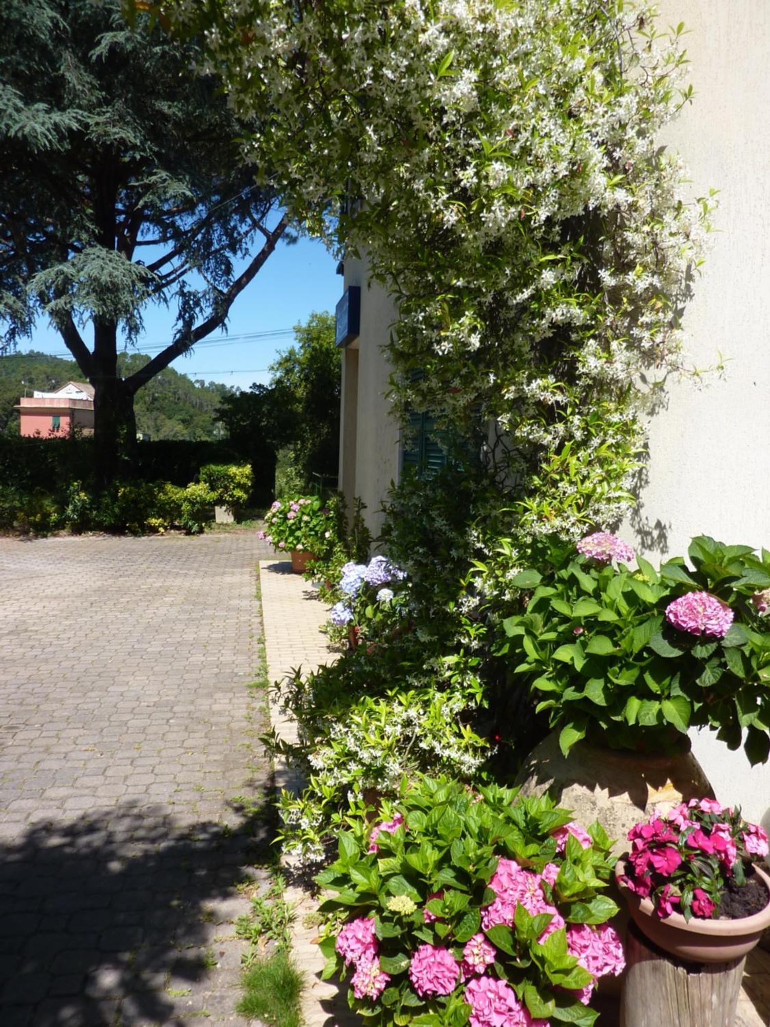 Hotel Silvia Framura - Cinque Terre Εξωτερικό φωτογραφία