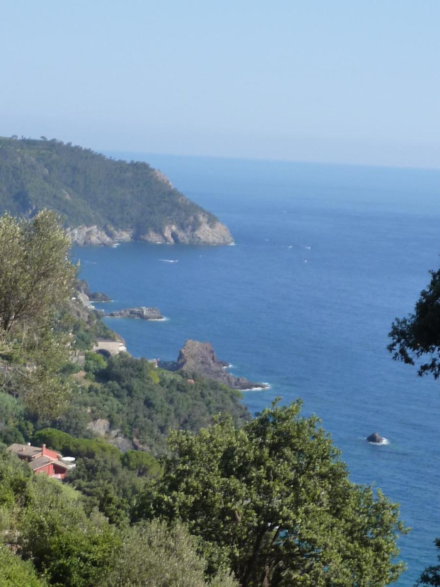 Hotel Silvia Framura - Cinque Terre Εξωτερικό φωτογραφία