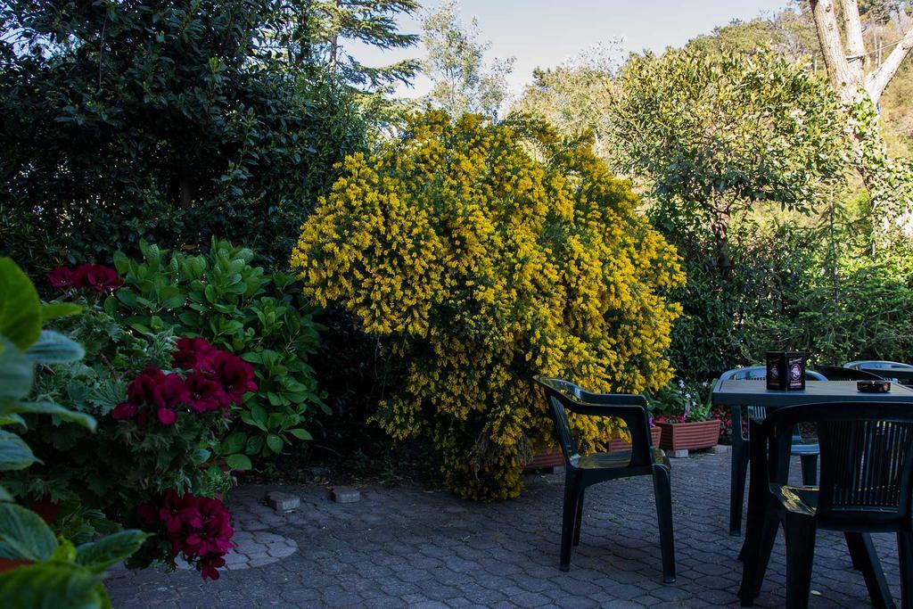 Hotel Silvia Framura - Cinque Terre Εξωτερικό φωτογραφία